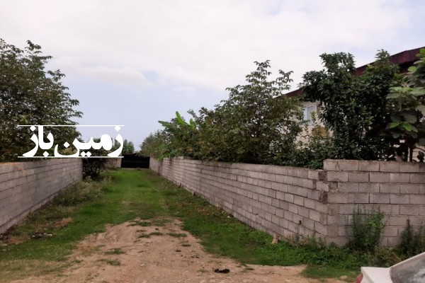 فروش زمین باغی در شمال 200 متر عباس آباد روستای پرچور-1