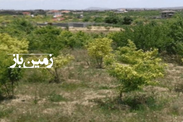 فروش زمین باغ در تهران ۹۰۰ متر دماوند روستای مغانک-1