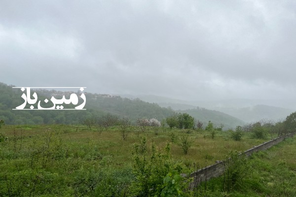 فروش زمین در شمال ۴۶۸ متر زیر آب روستای پیرنعیم-2