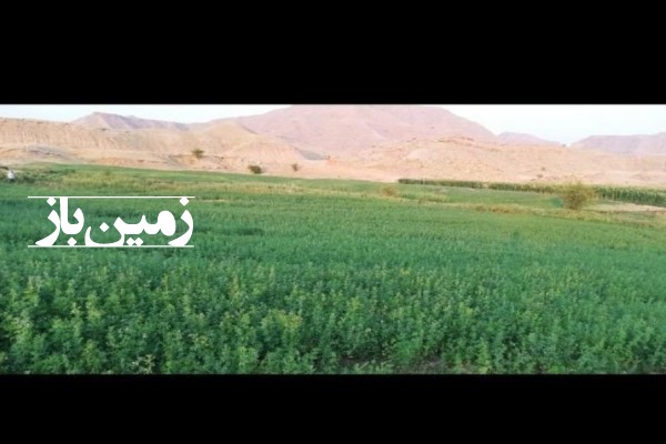 فروش زمین کشاورزی در کهکیلویه و بویراحمد 13000 متر گچساران روستای خیرآباد-1