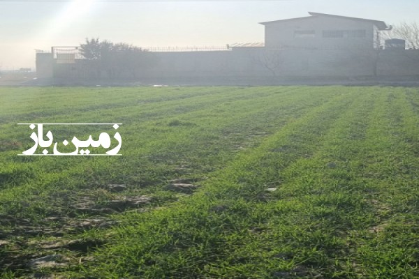فروش زمین کشاورزی در تهران 5000 متر محدوده رباط کریم-3