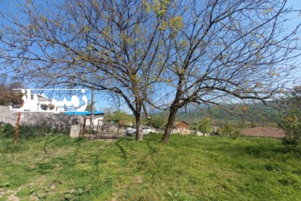 فروش زمین مسکونی در گیلان ۳۵۰ متر رودبار روستاهای حلیمه جان و شهران-2