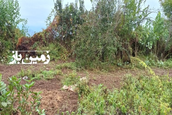 فروش زمین مسکونی در گیلان ۱۳۲۵ متر شفت روستای لختکی-1