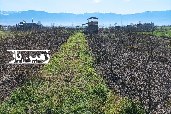 فروش زمین کشاورزی در گلستان ۱۷۵۰متر گرگان روستای قلندرمحله-3