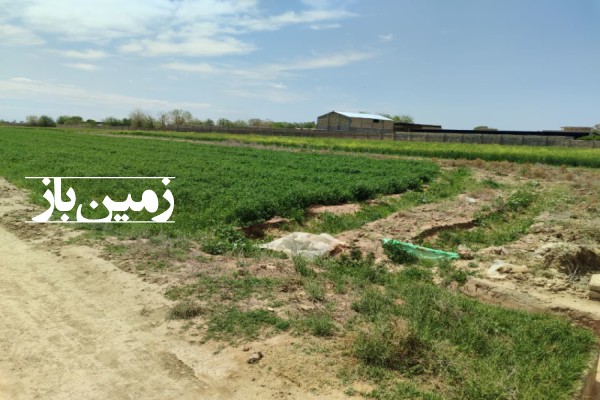 فروش زمین‌ در تهران ۵۰۰‌ متر ورامین جاده چرمشهر روستای دمزاباد-4