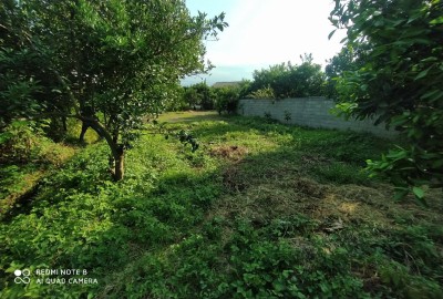 فروش زمین در شمال ۴۶۰ متر تنکابن خرم آباد روستای مزرک