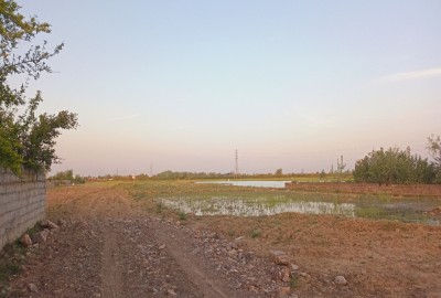 فروش زمین باغی در شمال ۵۲۶ متر محمودآباد کنارگذر شرقی