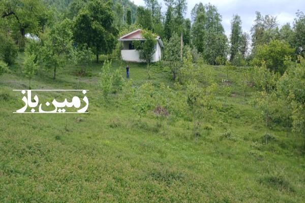 زمین مسکونی باغی در گیلان 1500 متر تالش خطبه سرا کوهستان مشایخ-1