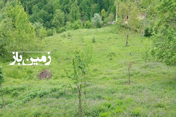 زمین مسکونی باغی در گیلان 1500 متر تالش خطبه سرا کوهستان مشایخ-2