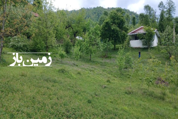 زمین مسکونی باغی در گیلان 1500 متر تالش خطبه سرا کوهستان مشایخ-3