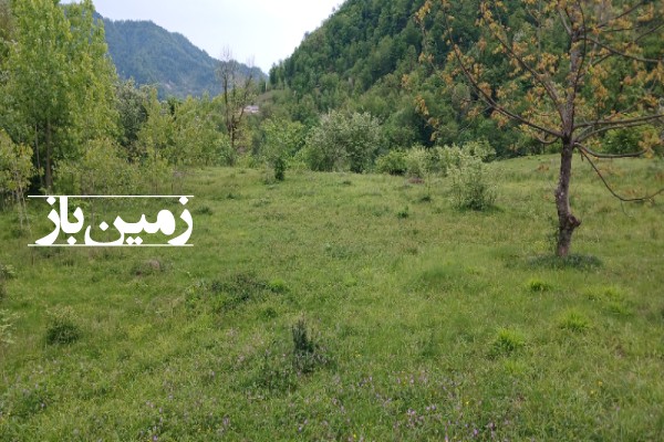 زمین مسکونی باغی در گیلان 1500 متر تالش خطبه سرا کوهستان مشایخ-4