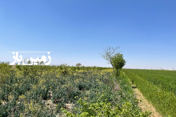 فروش زمین کشاورزی در البرز 51000 متر تنکمان نظرآباد-3
