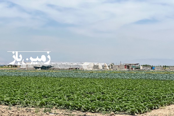 فروش زمین کشاورزی در البرز 51000 متر تنکمان نظرآباد-4