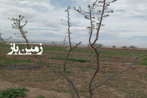 فروش زمین باغ در آذربایجان غربی ۴۸۲۶ متر خوی بعد از روستای عذاب-2