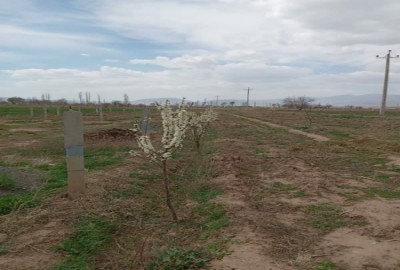 فروش زمین باغ در آذربایجان غربی ۴۸۲۶ متر خوی بعد از روستای عذاب