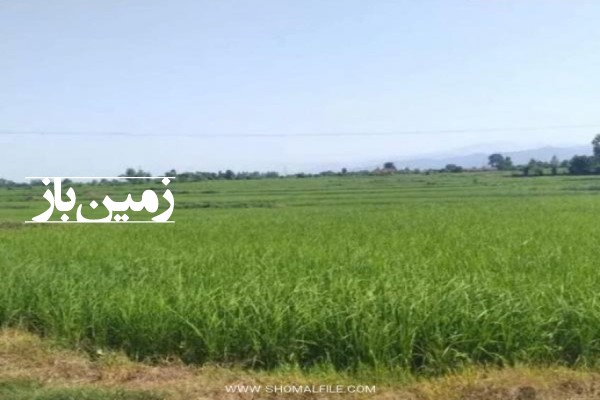 فروش زمین کشاورزی در کرمانشاه ۳۶ هزار متر گیلانغرب روستای سرکتان-1