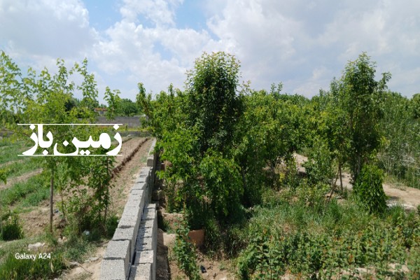 فروش زمین باغچه در تهران ۶۰۰ متر ملارد ویلای جنوبی خیابان سهروردی-1