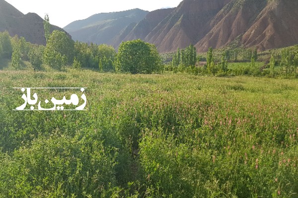 فروش زمین کشاورزی در قزوین ۵۰۰۰ متر در الموت شرقی روستای سفیددر-1