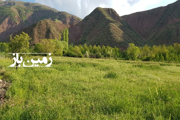 فروش زمین کشاورزی در قزوین ۵۰۰۰ متر در الموت شرقی روستای سفیددر-3