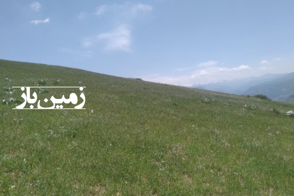 فروش زمین کشاورزی در گیلان 5400 متر دیلمان روستای عاشورآباد-1