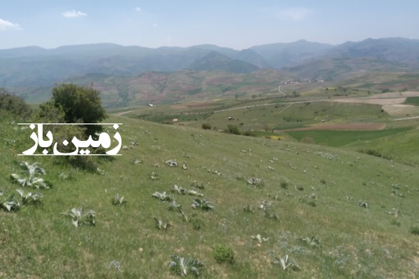 فروش زمین کشاورزی در گیلان 5400 متر دیلمان روستای عاشورآباد-2