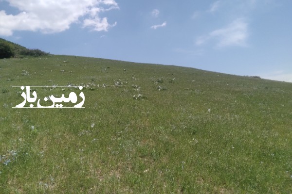 فروش زمین کشاورزی در گیلان 5400 متر دیلمان روستای عاشورآباد-3