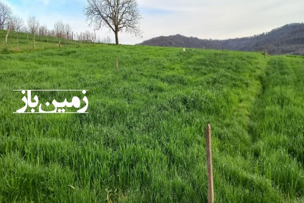 فروش زمین کشاورزی د رشمال 1700 متر نکا روستای پوروا-1