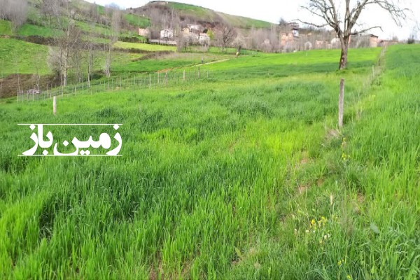 فروش زمین کشاورزی د رشمال 1700 متر نکا روستای پوروا-2