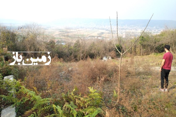 فروش زمین در شمال 878 متر بابل روستای قرآن تالار-3