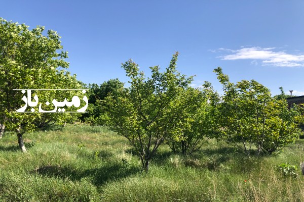 فروش زمین کشاورزی در آذربایجان شرقی ۲۸۸۰ متر مراغه نرسیده به روستای خانگاه-1