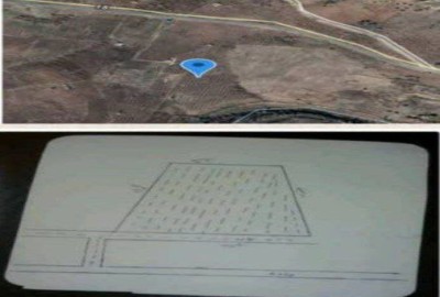 فروش زمین باغ در کردستان ۳۰۰۰ متر مریوان باغستان دره ناخی