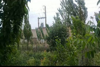 فروش زمین کشاورزی در البرز 3 هکتار نظرآباد روستای عبدل آباد