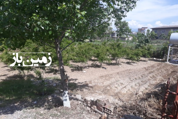 فروش زمین باغ در گلستان 1159 متر گرگان روستای کلو-2