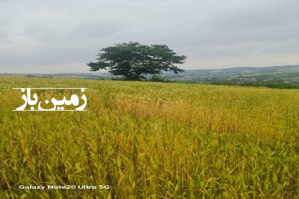 فروش زمین در شمال 500 متر ساری روستای خارکش با ویو بی‌ نظیر-1