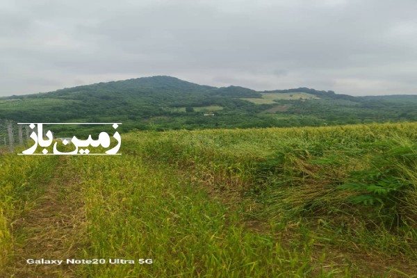 فروش زمین در شمال 500 متر ساری روستای خارکش با ویو بی‌ نظیر-3