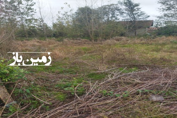 فروش زمین باغی در گیلان ۵۱۵ متر لاهیجان روستای متعلق محله-1