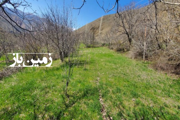 فروش زمین باغی در اردبیل ۱۵۰۰ متر بعد از روستای ماجلان روستای طهارم دشت-4