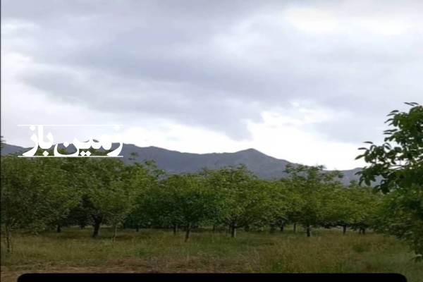 فروش زمین باغی و کشاورزی در کرمان 2500 متر سردو-1