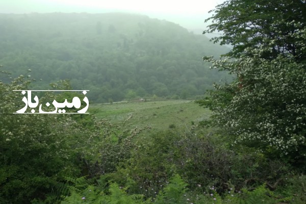 فروش زمین کشاورزی در شمال 9000 متر زیرآب روستای لولاک-1