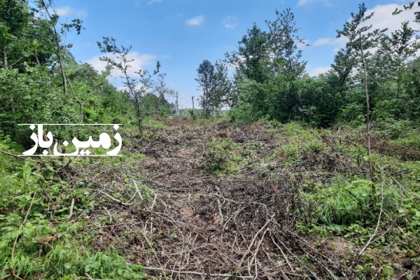 فروش زمین مسکونی در گیلان ۷۰۰ متر لاهیجان روستای لفمجان روستای جوپیش-2