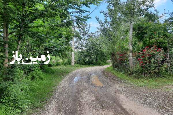 فروش زمین مسکونی در گیلان ۷۰۰ متر لاهیجان روستای لفمجان روستای جوپیش-3