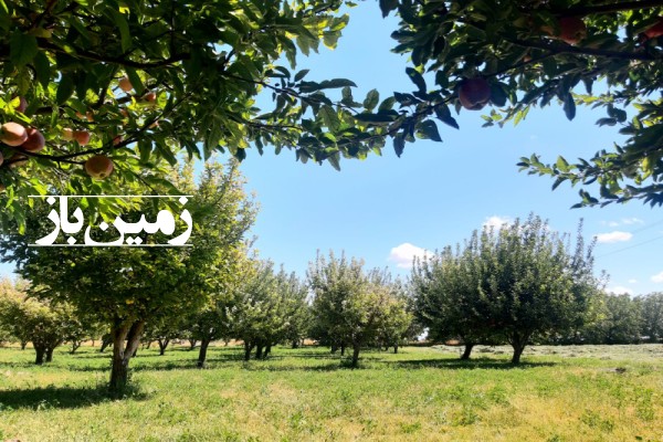 فروش زمین باغ آذربایجان شرقی 2250 متر میانه روستای اشلق،-1