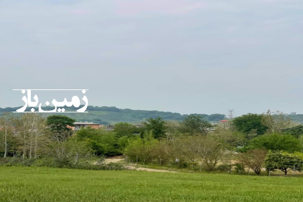 فروش زمین در شمال 9000 متر ساری  روستای ولاشد-1