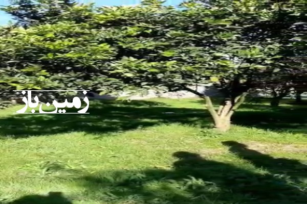 فذوش زمین مسکونی در شمال ۲۵۰ متر نشتارود روستای کترا-3