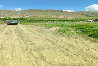 فروش زمین کشاورزی در کردستان 1500 متر سنندج روستای قار