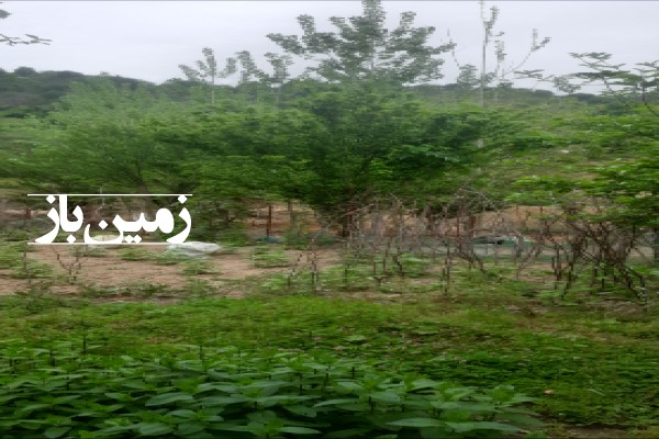 فروش زمین مسکونی در گیلان 700 متر فومن روستای ملسکام-4