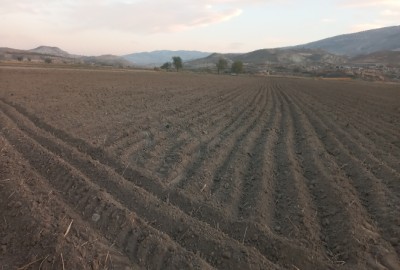 فروش زمین کشاورزی در خراسان شمالی ۱۷۰۰ متر شیروان قوچ قلعه
