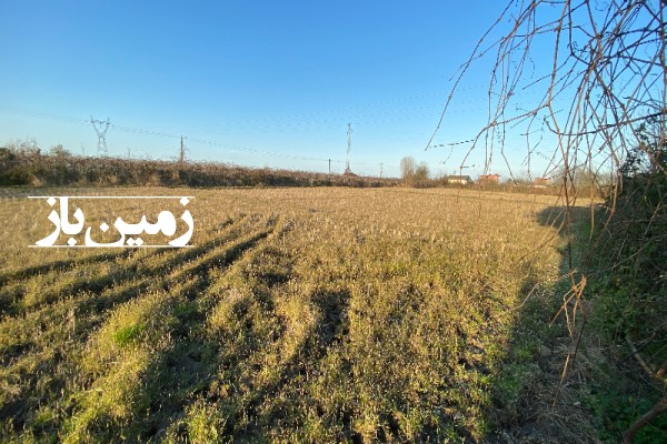 فروش زمین مسکونی کشاورزی در گیلان 14500 متر لمیر استارا-3
