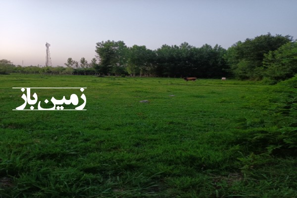 فروش زمین در گیلان ۴۵۰۰ متر فومن روستای کردآباد-1