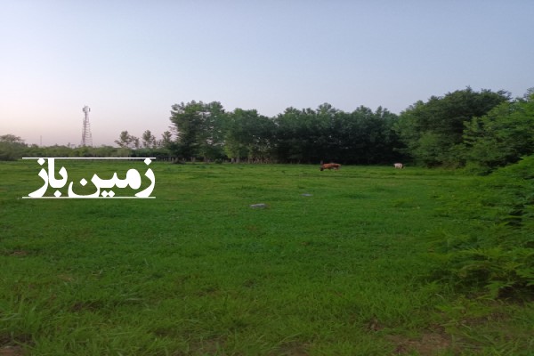 فروش زمین در گیلان ۴۵۰۰ متر فومن روستای کردآباد-4